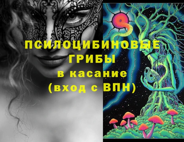 соль ск Арсеньев