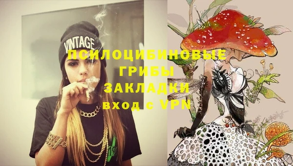 первитин Балахна