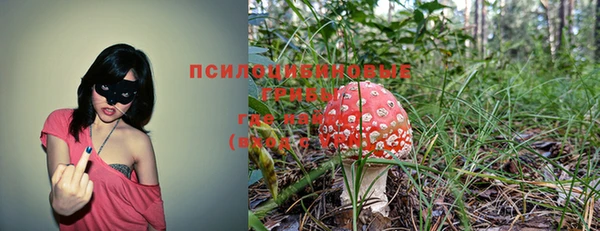 соль ск Арсеньев